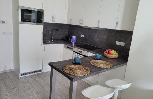 Karlin Apartment | Residence Karlin Prague