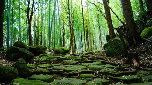 Iruka Onsen Hotel | Resort Kumano Club