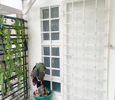 Mamatoco Apartment | Rest 3