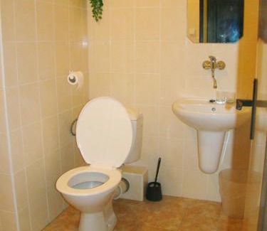 Dlouha Brtnice Hotel | Restaurace penzion Rafael