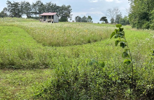 Pamplin Cottage | Restful new cottage facing woods and paths near historic sites & biking trails