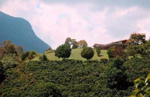 Fredonia House | Retiro privado sobre el rio Cauca