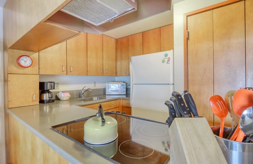 Overlook Park Condo | Retro, Dog-Friendly Condo with Fireplace, Wi-Fi, & SHARC Access