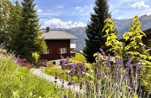 Braunwald House | Revier mon désir