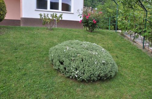 Jesenice House | Rezidenca Ervin