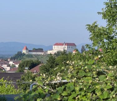 Ptuj Apartment | Rezidenca Vista Lux