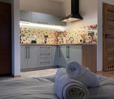 Dukla Apartment | Rezydencja pod Cergową Wellness & SPA