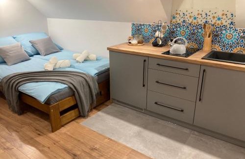 Dukla Apartment | Rezydencja pod Cergową Wellness & SPA