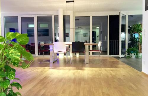 Petershausen-West Apartment | Rhein Melodie riverview luxury