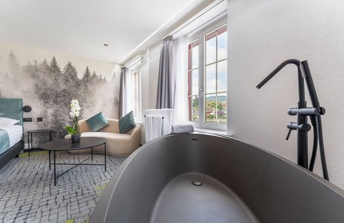 Stein am Rhein Hotel | Rheingerbe