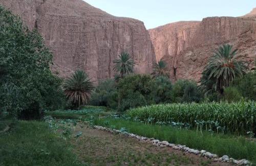 Toudgha El Oulia House | Riad La Fleur