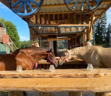 Bergshamra Bed & Breakfast | Rialahästgård