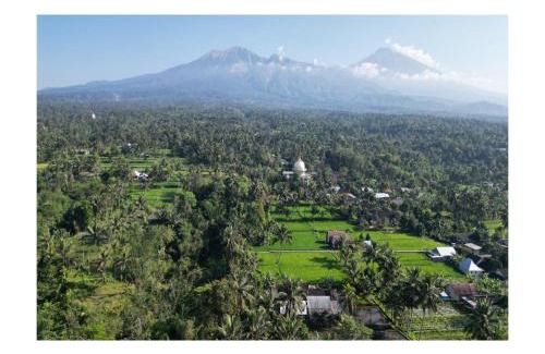 Tetebatu House | Rice Terrace Bungalows