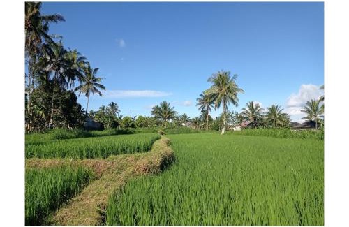 Tetebatu House | Rice Terrace Bungalows