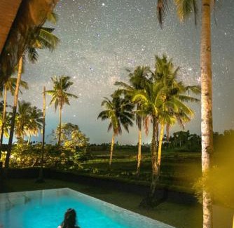 Catangnan Villa | Ricehaven Luxury Villas with Starlink WIFI