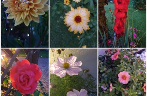 Bridgend House | Richlands Homestay