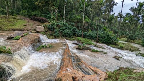 Mudigere House | Ridge Homestay