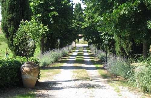Panicale Villa | Ridiculously Beautiful Villa on Tuscany/Umbria Border. Privacy, Garden, Air Con