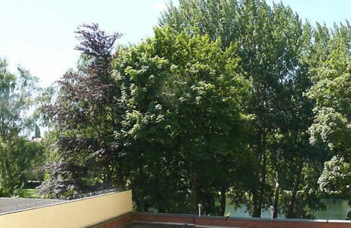 Charlottenburg-Wilmersdorf Apartment | Right on Lietzensee located well maintained apartment in the middle of the West City