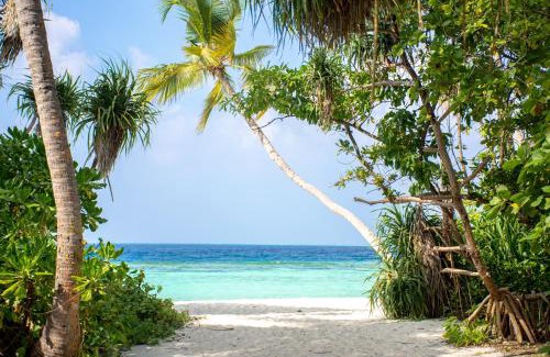 Omadhoo House | Rin'dha Retreats