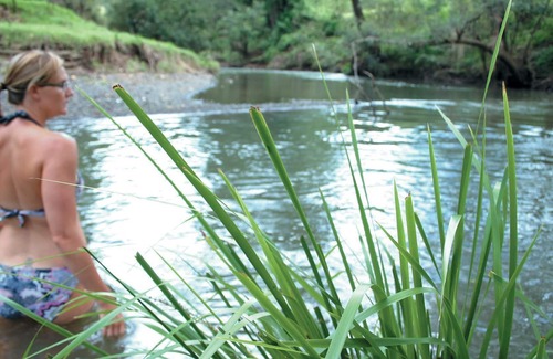 Gradys Creek Cabin | Ripples on the Creek - 'Silky Oak' Creekside Cabin