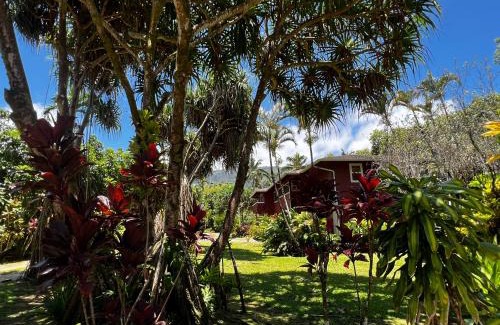 Wainiha House | River Estate Riverhouse