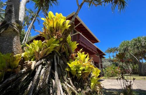 Wainiha House | River Estate Riverhouse