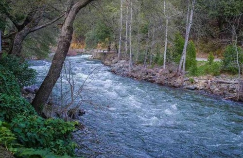 Dunsmuir Ski Chalet | River Oak Retreat - Upper Sacramento Riverfront!