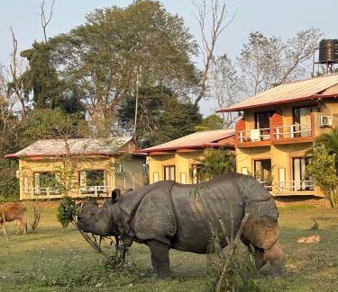 Sauraha Resort | River Park International Resort