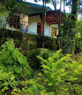 Nawalapitiya House | River Pool Holiday Bungalow