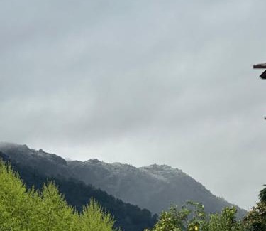 Sao Miguel do Rio Torto Ski Chalet | River Room
