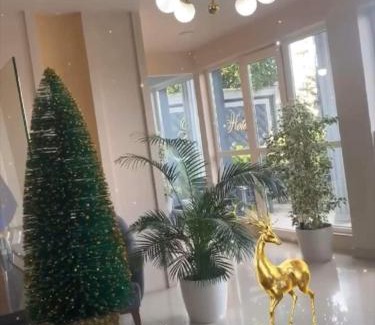 Zugdidi Hotel | River S hotel