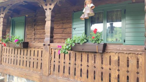 Viseu de Jos House | River Song Inn
