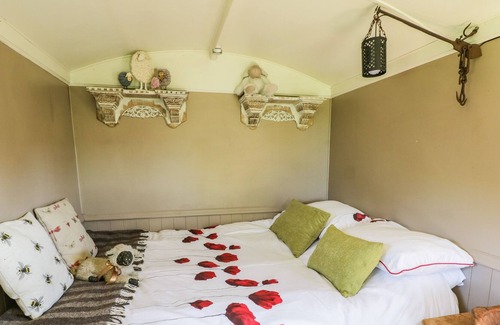 Newport Cottage | RIVER VIEW, pet friendly, with a garden in Newport, Shropshire
