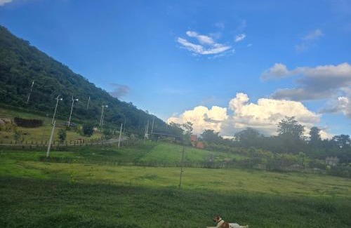 Pong Ta Long Apartment | Riverhill khaoyai Camping