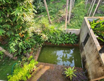 Nilambur Apartment | RiverMist Resort
