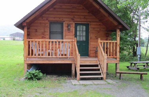 Deposit Cabin | Rivers Edge of the West Branch Delaware River w Private Boat Launch