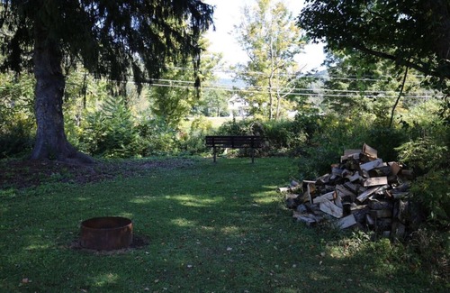 Deposit Cabin | Rivers Edge of the West Branch Delaware River w Private Boat Launch