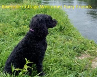 Ballyclare House | Riverside Cottage at Logwood Mill