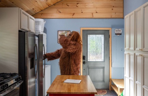 Lake Luzerne-Hadley House | Riverside & Dock, Hot Tub, Centrally Located, Pet Friendly: The Hummingbird Camp