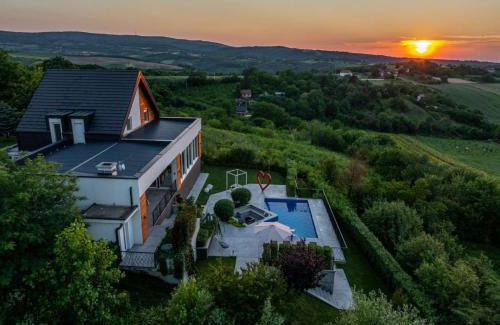 Sremska Mitrovica Villa | Riverside pool villa-Sremski Karlovci