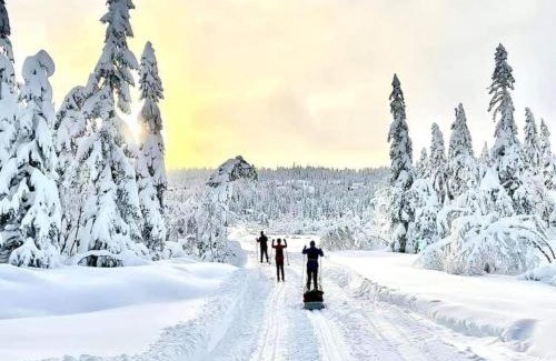 Lardal Municipality House | Ro i sjelen. Hytte til leie på Skrim.