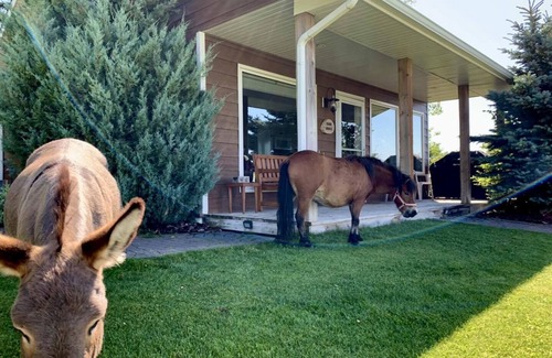 Strathmore Cabin | Rocking R Guest Ranch