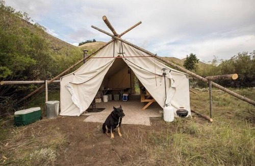 Custer County Cabin | Rocky Mountain Elk Camp