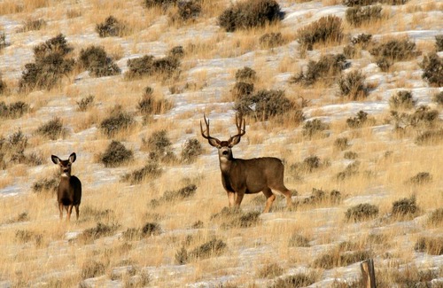 Custer County House | Rocky Mountain RV Camp