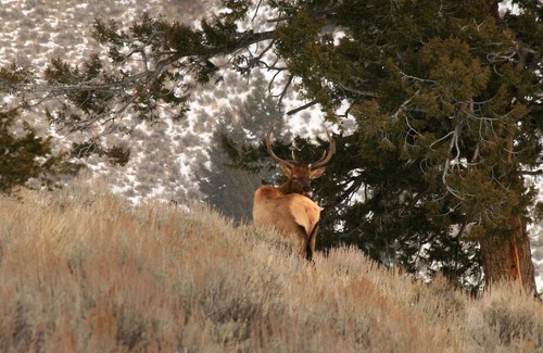 Custer County House | Rocky Mountain RV Camp