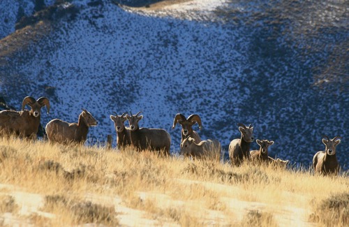 Custer County House | Rocky Mountain RV Camp
