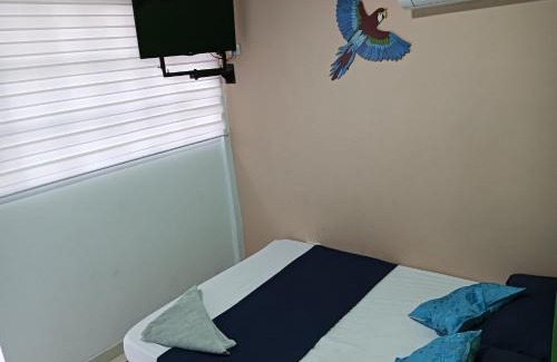 San Andres Apartment | Rocky palms