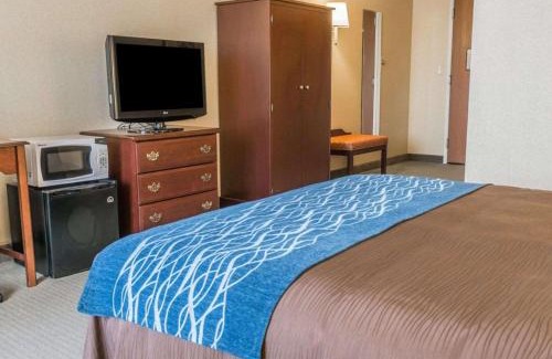 Mercer Hotel | Rodeway Inn