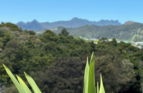 Parua Bay Cottage | Rodgers Post - peace, elevation, water, mountains, bush